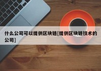 什么公司可以提供区块链[提供区块链技术的公司]