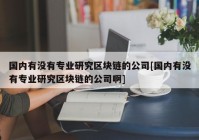 国内有没有专业研究区块链的公司[国内有没有专业研究区块链的公司啊]